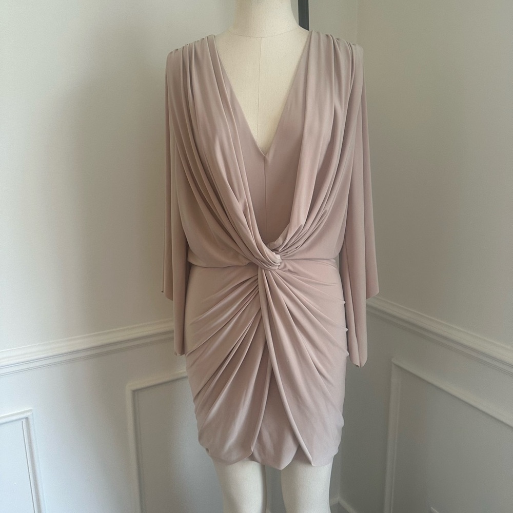 Misa stunning stretch dress